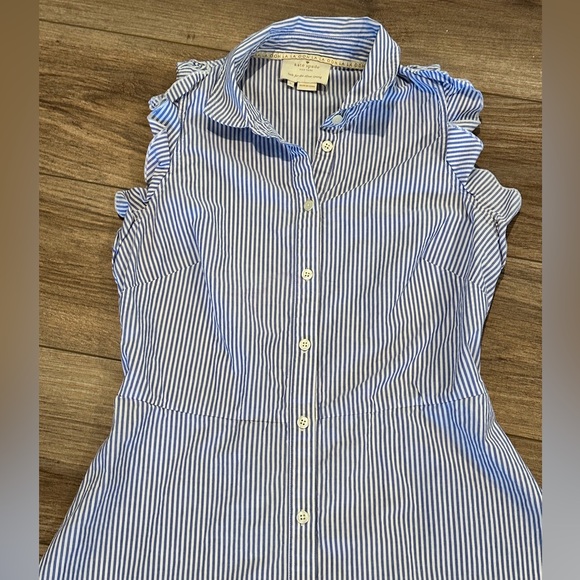 Kate Spade Blue and White Pinstriped Cotton Poplin Ruffle Sleeve Dress Size 6 - Picture 6 of 10